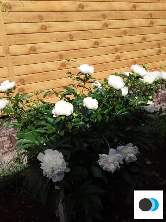 Продажа дома, Уфа, ул. Чехова - Фото 24