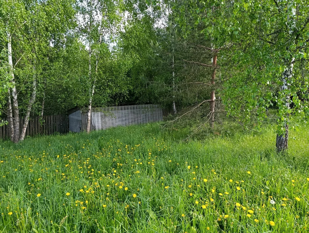 Продажа участка, Павловское, Домодедово г. о., Зернистая улица - Фото 11