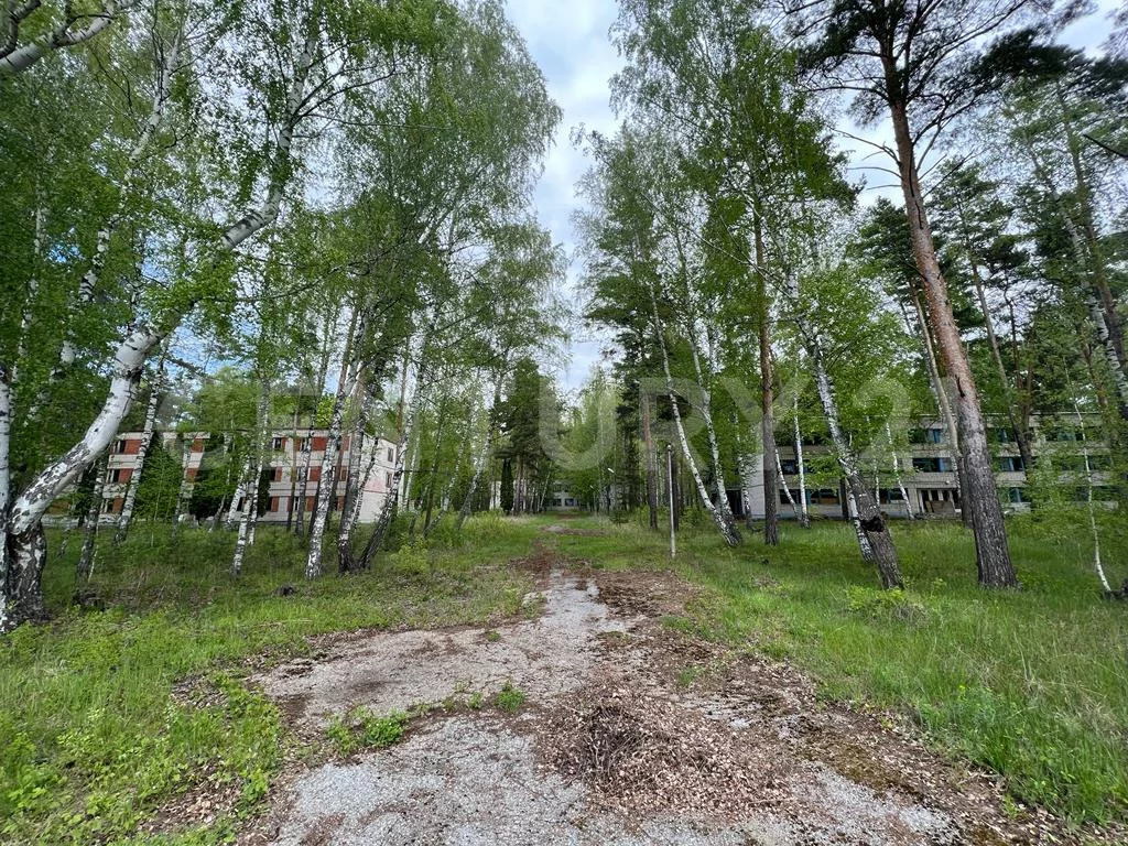 Продажа ПСН, Колодезское, Задонский район, ул. Солнечная - Фото 34