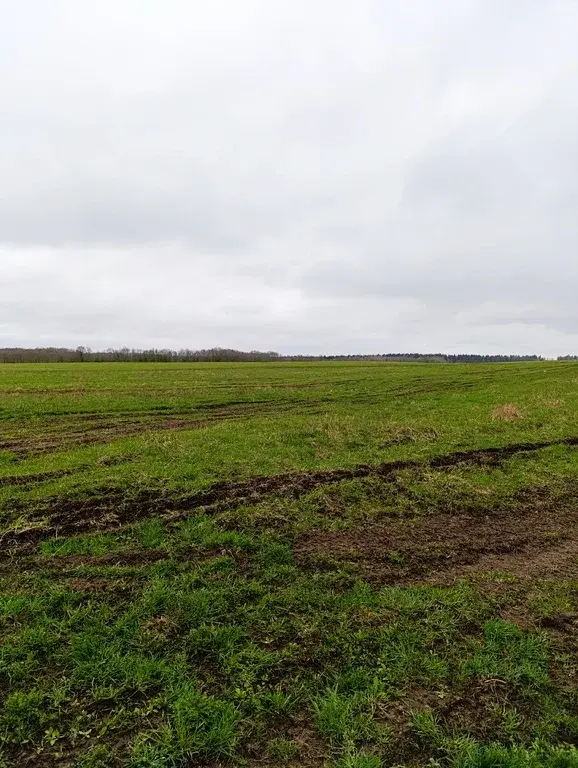 Продам участок 166с сельхоз/назначения - Фото 6