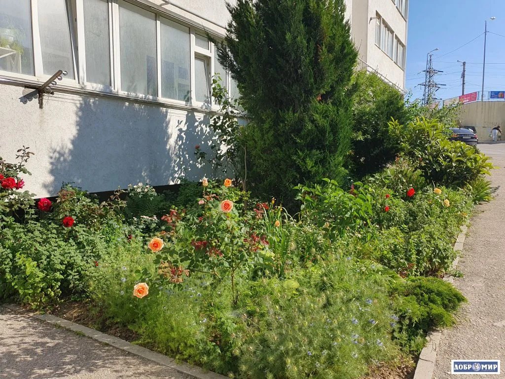 Продается 1-комн. квартира - Фото 12