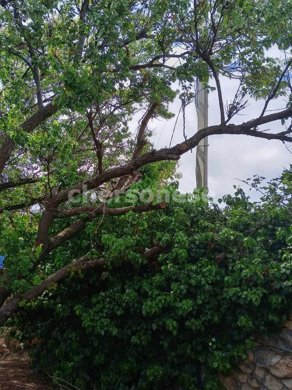 Продажа дома, Севастополь, территория СТ Пищевик - Фото 12