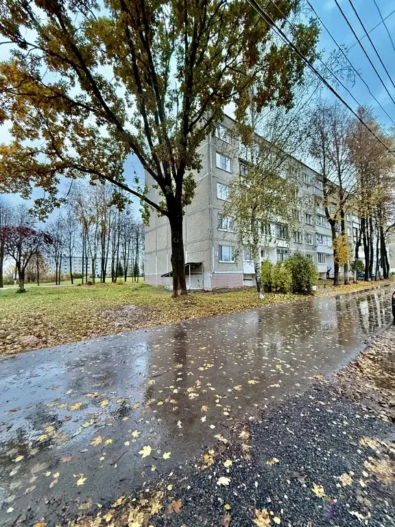 Продаю двухкомнатную  квартиру д. Дубнево, улица Новые дома, дом 6. - Фото 24