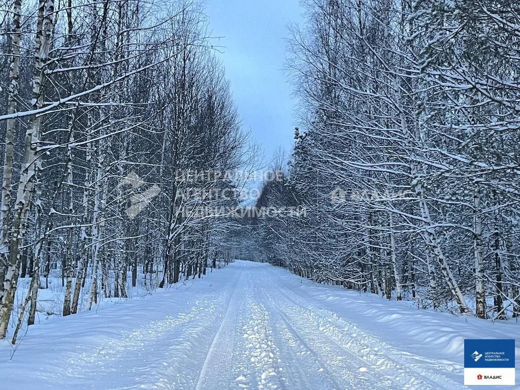 Продажа участка, Ушмор, Клепиковский район - Фото 3