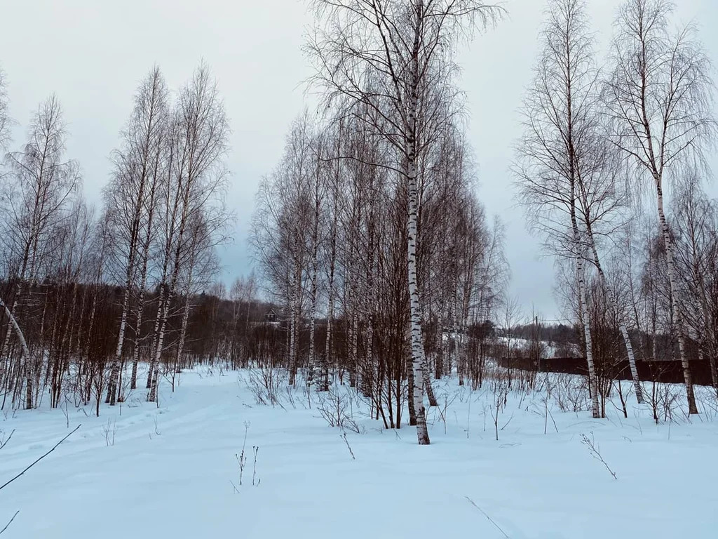 Продажа участка, Дмитровский район - Фото 0