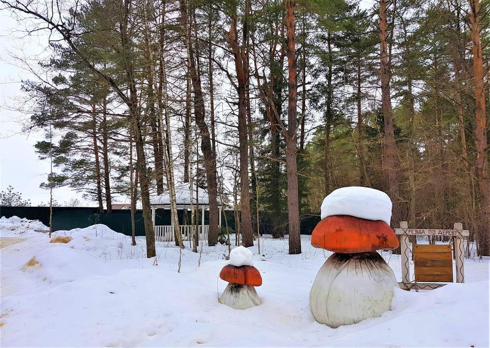 Деревня боровики дзержинский район фото