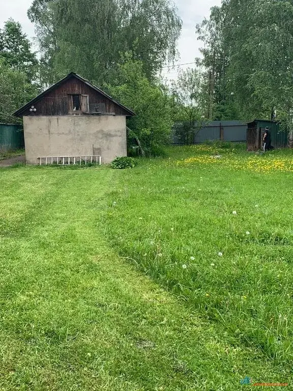 Купить Дачу В Зеленограде Московской