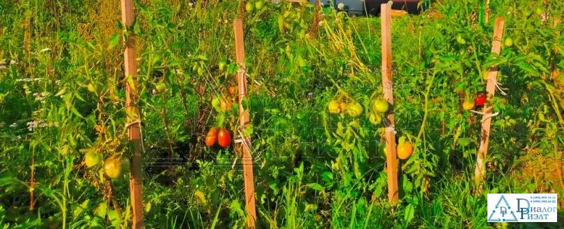 2-х этажный дом в д. Минино в 56 км. от МКАД - Фото 4