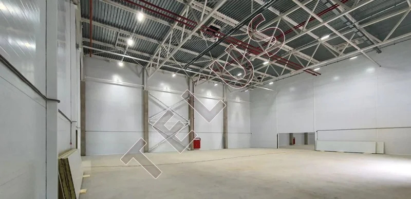 МО, Ленинский го, г Видное, 695 м2, склад (ном. объекта: 8119) - Фото 2