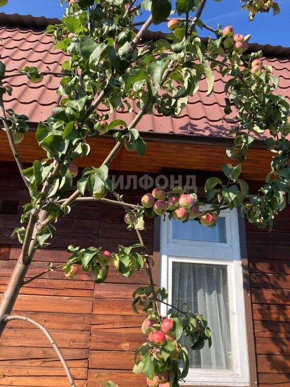 Продажа дома, Краснообск, Новосибирский район - Фото 16
