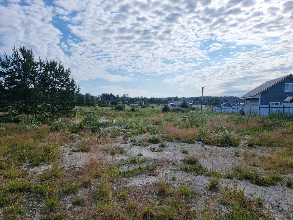 Продажа участка, Бородинское, Выборгский район - Фото 6