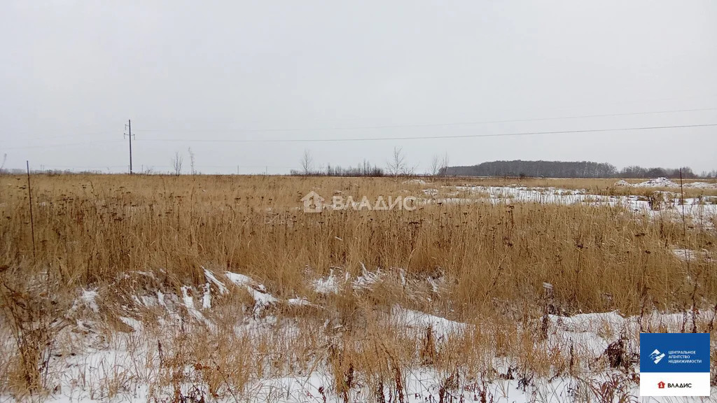 Продажа участка, Дубняки, Рязанский район - Фото 0