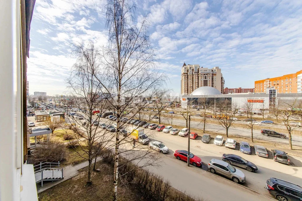 Санкт-Петербург, проспект Энгельса, д.115к1, 3-комнатная квартира на ... - Фото 15