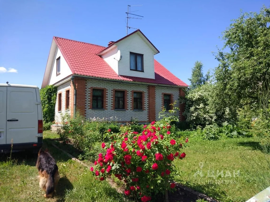 Домкино лужский район фото