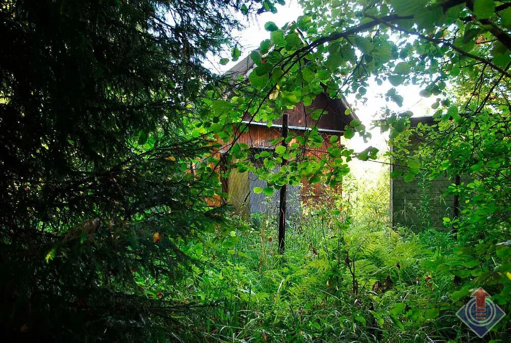 Дача в лесу на 9 сотках в СНТ Репка у д. Шапкино, Наро-Фоминский район - Фото 26