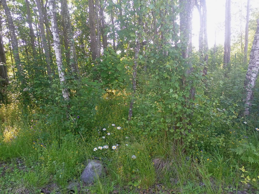 Продается земельный участок 23 сот. - Фото 19