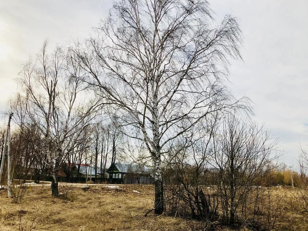 Родник деревни Марьино Одинцовский район Московская область