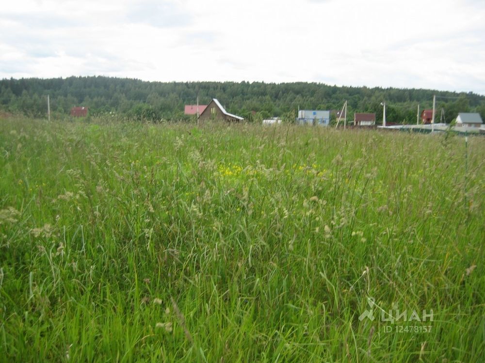 Домкино лужский район фото