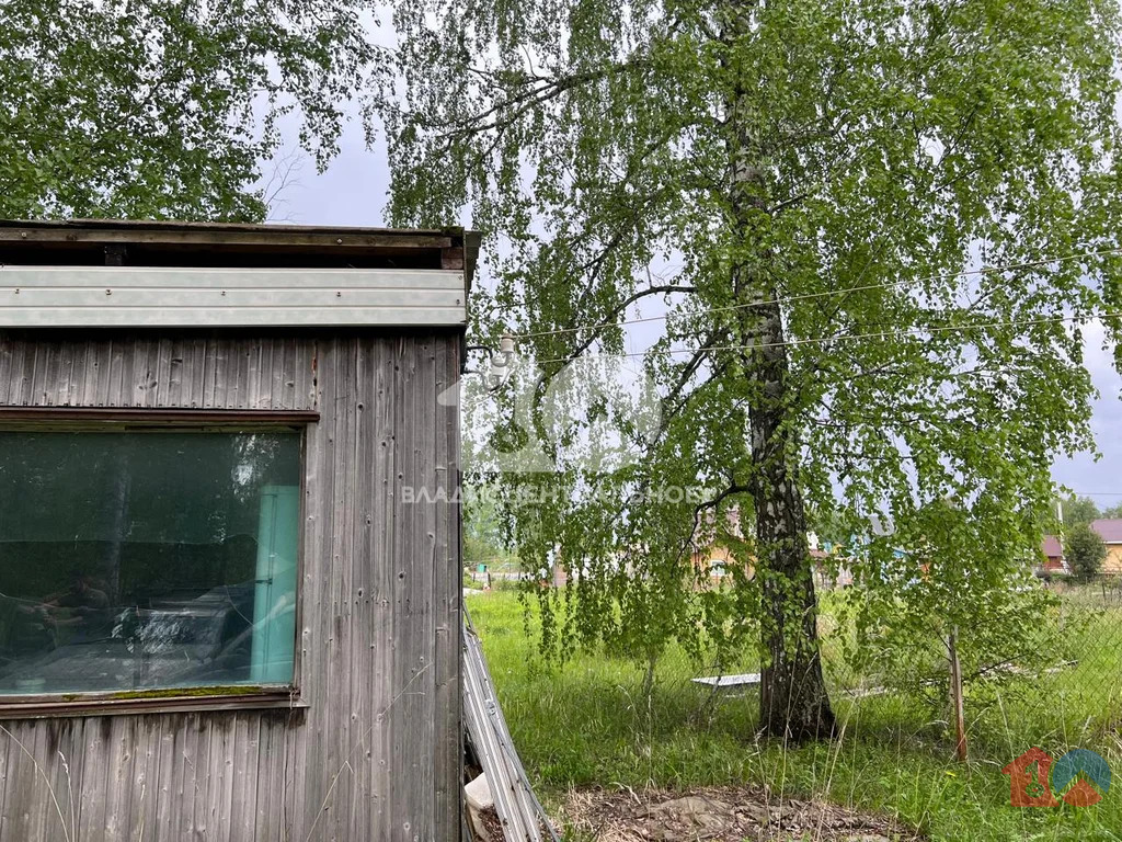 Новосибирский район, садоводческое некоммерческое товарищество ... - Фото 6