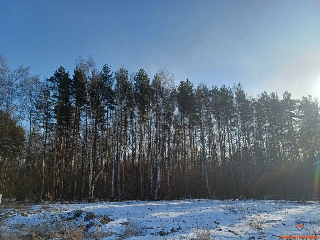 Продажа дома, Домодедово, Домодедово г. о., тер КП Земляничная поляна ... - Фото 8