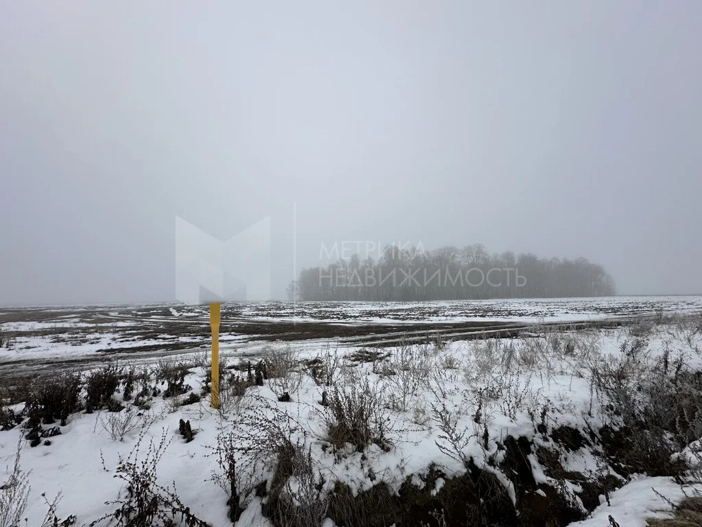 Продажа участка, Горьковка, Тюменский район, Тюменский р-н - Фото 3