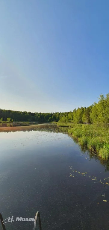 Две дачи по цене одной в окружении леса с лесным озером для купания. - Фото 48