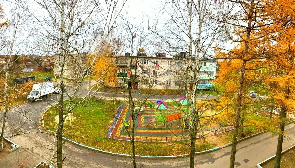 2-я квартира в деревне Большое Гридино, дом 3М - Фото 11