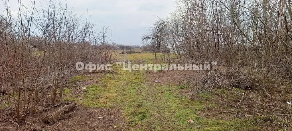 х. Арпачин, участок 30 соток в 1,5 км от реки Дон - Фото 10