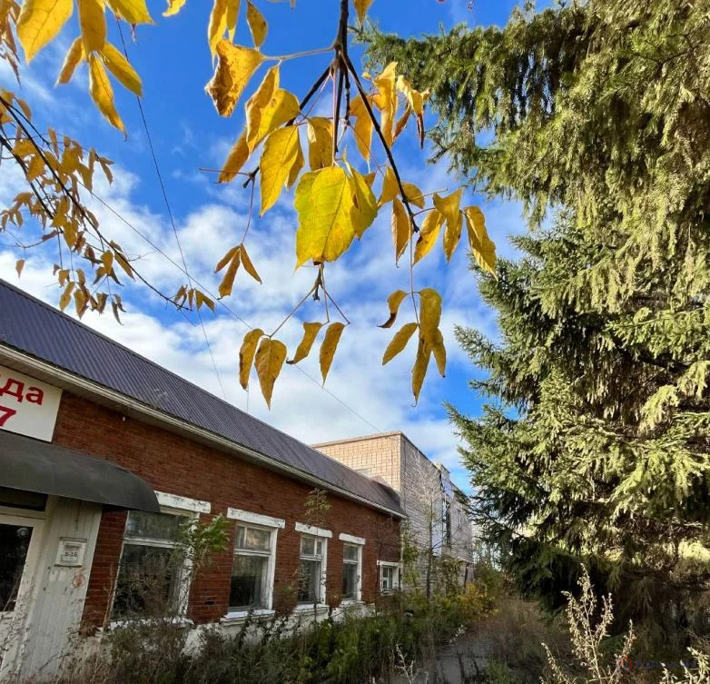 Продажа ПСН, Сарапул, ул. Путейская - Фото 2