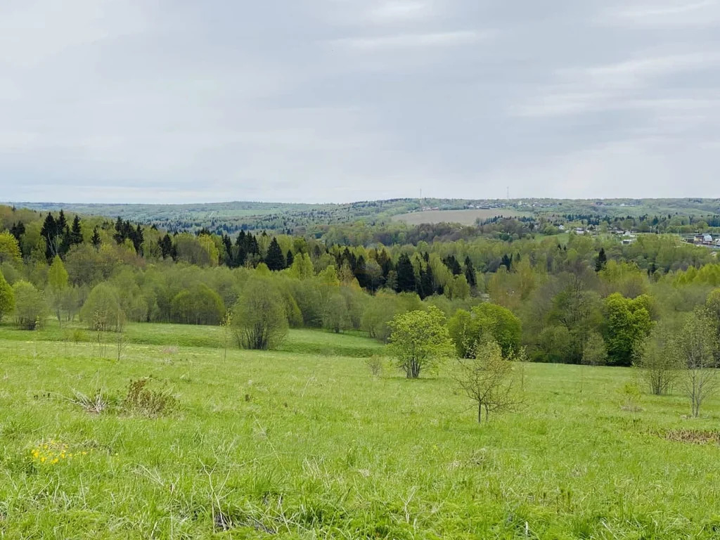 Продажа участка, Дмитровский район - Фото 8