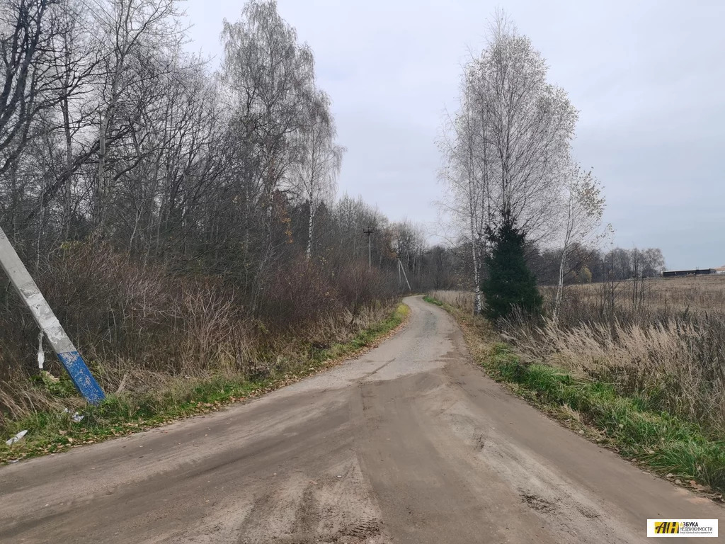 Дубки Московская область. СНТ 7 Дубки Климовск.