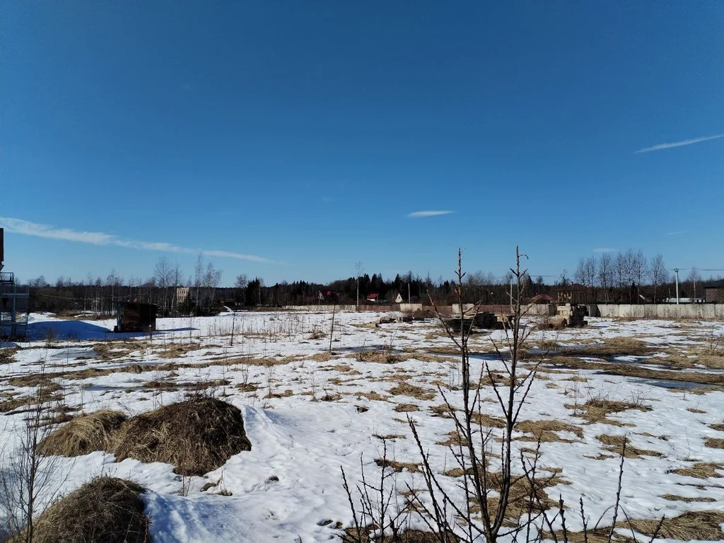 Продается земельный участок 200 сот. - Фото 6