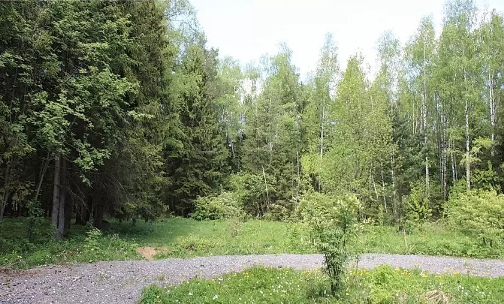 Большой участок с лесом около воды на Новорижском шоссе 18 км от МКАД - Фото 10