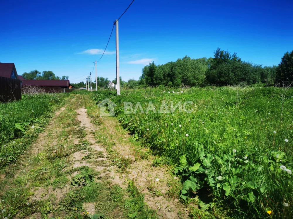 Конино владимирская обл. Деревня конино. Деревня конино. Собинский раон деревня конино завод. Деревня конино.