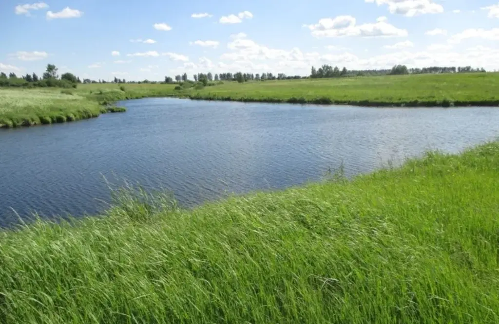 Два участка Эко Парк рядом с водоёмов - Фото 3