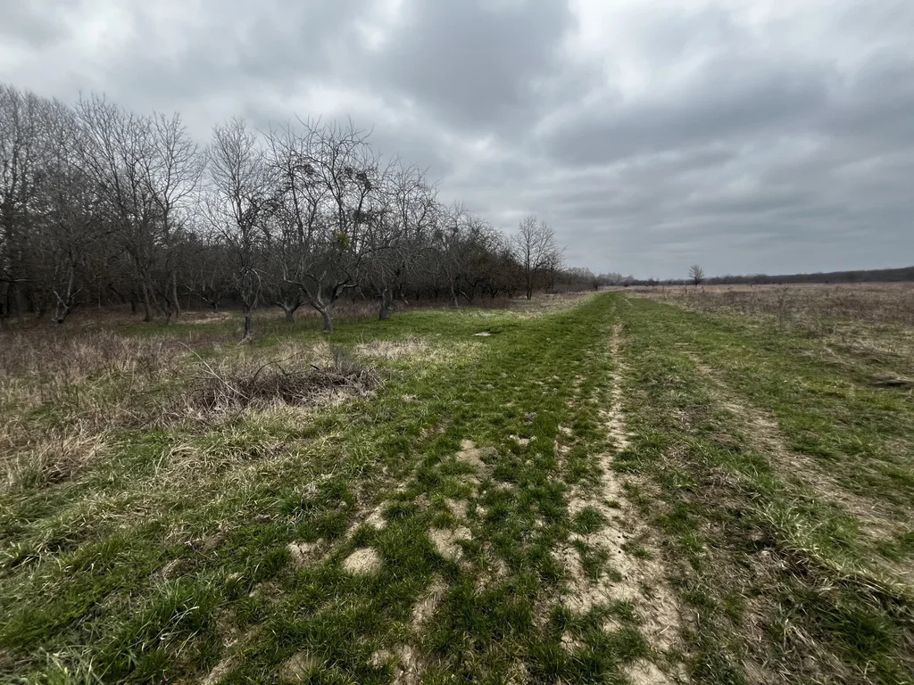 Продажа участка, Смоленская, Северский район - Фото 5