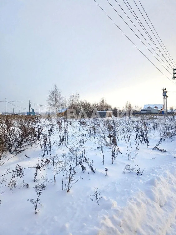 Раменский городской округ, коттеджный посёлок Малина парк,  земля на ... - Фото 13