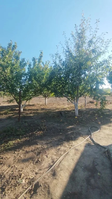 Продажа дома, Курчанская, Темрюкский район, ул. Чапаева - Фото 28