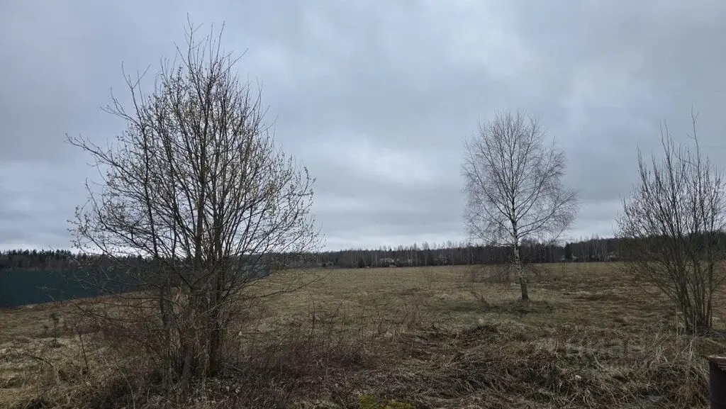 Продажа участка 19.72 га Московская область, Истра муниципальный ... - Фото 4