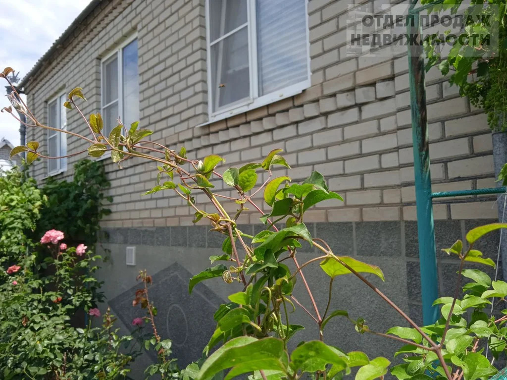 Кирпичный дом - Фото 3