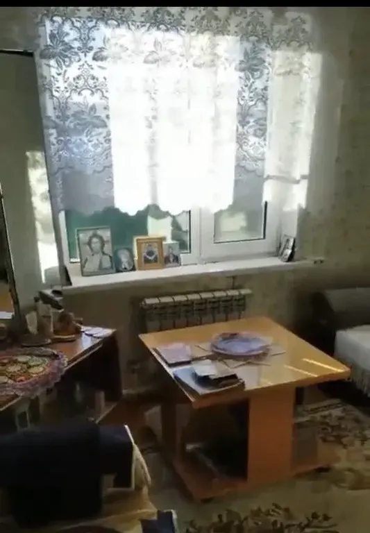 Курганская область Каргапольский р-он с. Брылино, ул. А. Антонова 18. - Фото 19