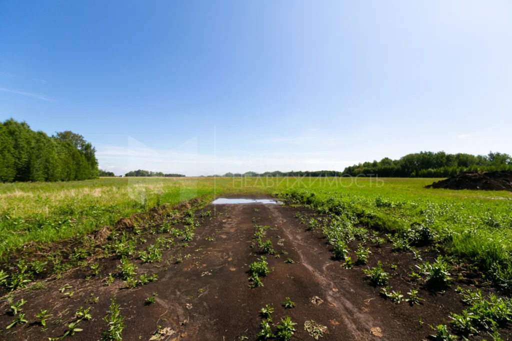 Продажа участка, Тюменский район, Тюменский р-н - Фото 12