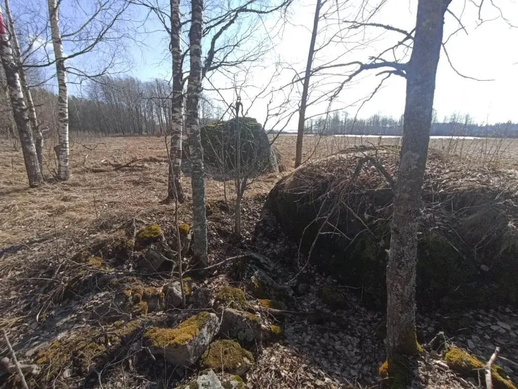 Участок в 100 м от озера Губановское - Фото 11