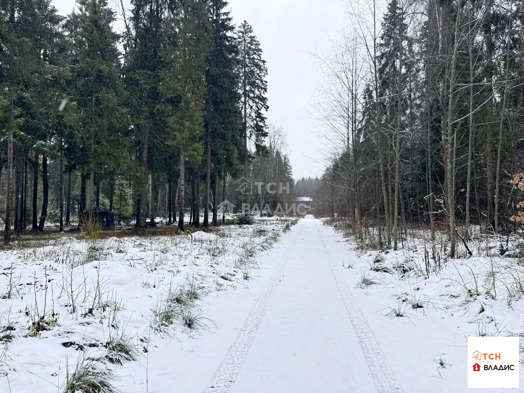 Продажа участка, Могильцы, Лотошинский район - Фото 10