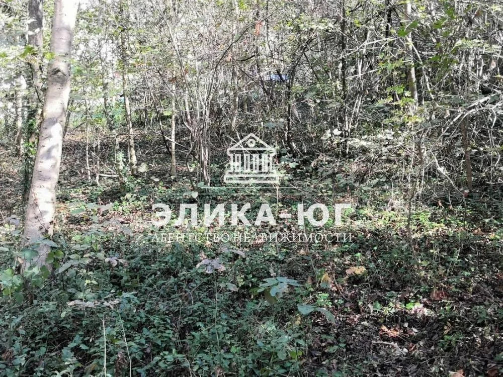 Продажа участка, Вольное, Туапсинский район, ул. Лесная - Фото 10