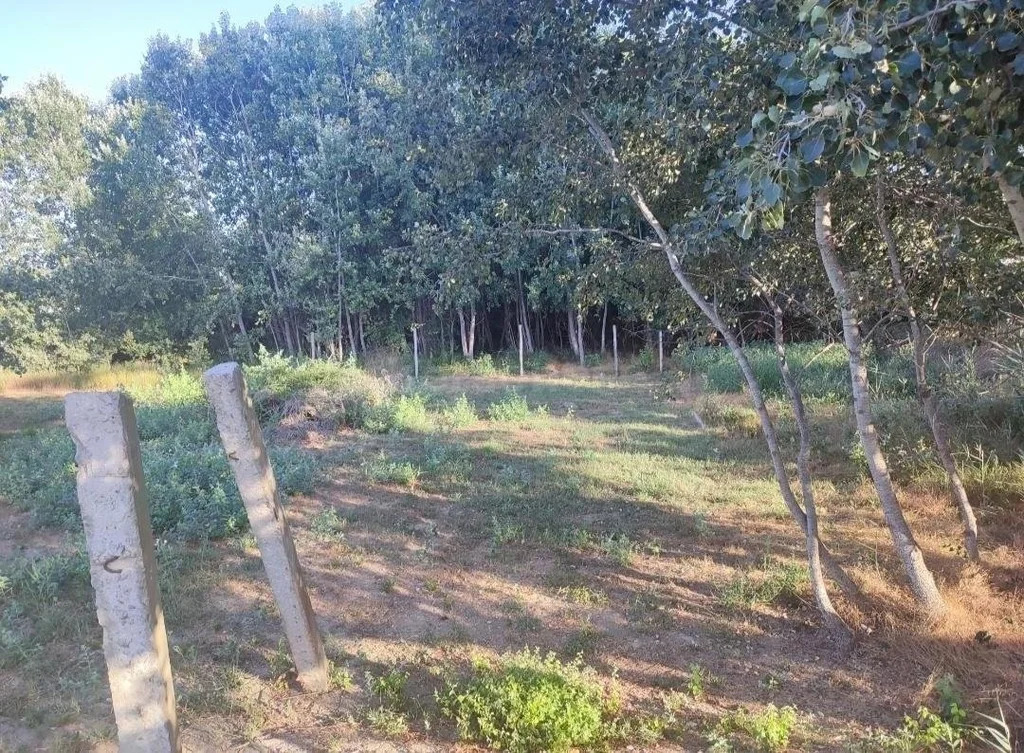 Продажа участка, Севастополь, ул. Садовая - Фото 3