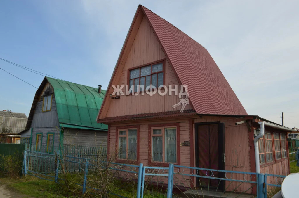 Ивушка криводановка новосибирск. СНТ Ивушка Новосибирск Криводановка. СНТ Ивушка 2.