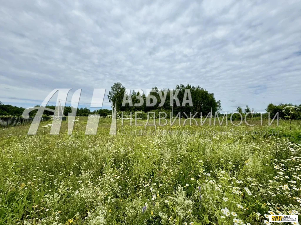 Продажа участка, Шейно, Истринский район - Фото 0