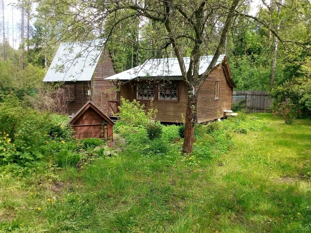 Снт Медик Омск Купить