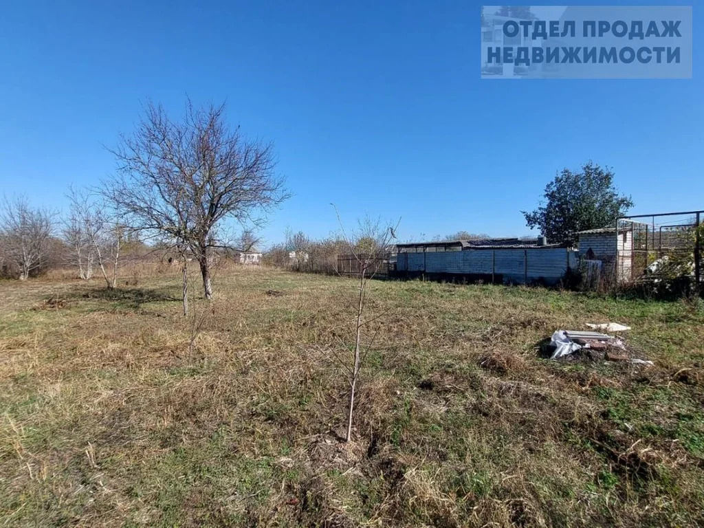 Объект 537120 - Фото 8